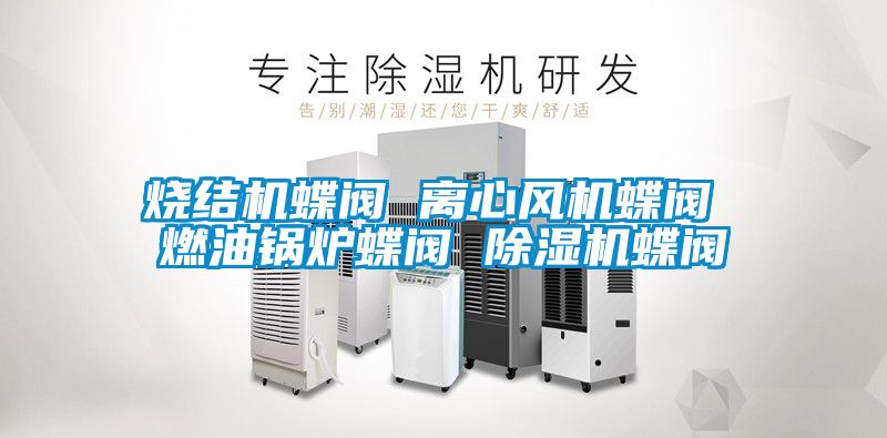 燒結機蝶閥 離心風(fēng)機蝶閥 燃油鍋爐蝶閥 除濕機蝶閥