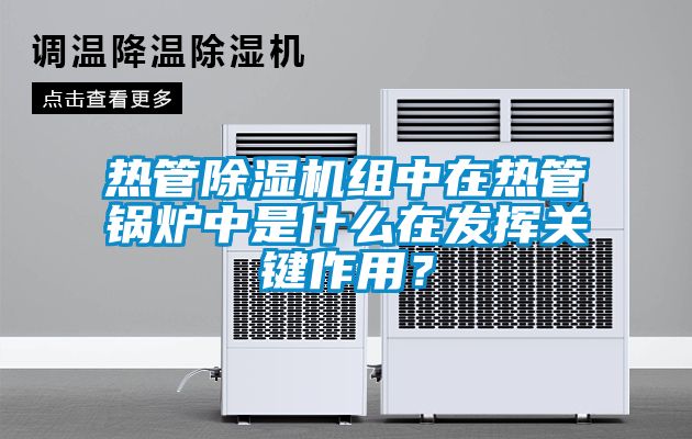熱管除濕機組中在熱管鍋爐中是什么在發(fā)揮關(guān)鍵作用？