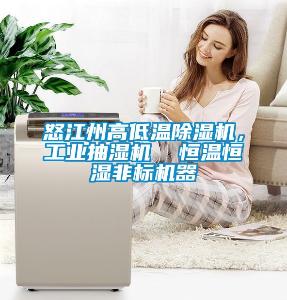怒江州高低溫除濕機，工業(yè)抽濕機  恒溫恒濕非標機器