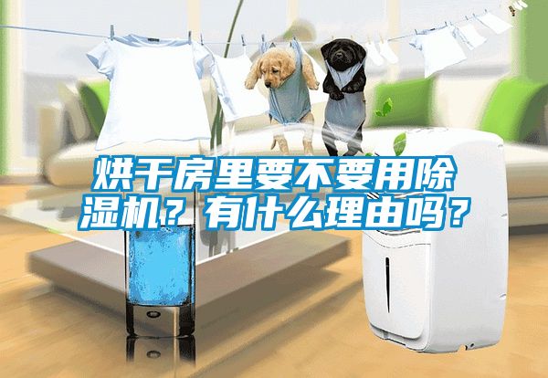 烘干房里要不要用除濕機？有什么理由嗎？