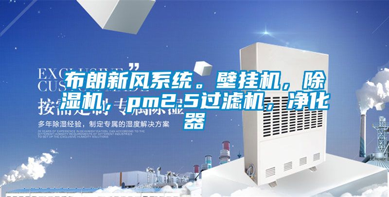 布朗新風(fēng)系統。壁掛機，除濕機，pm2.5過(guò)濾機，凈化器