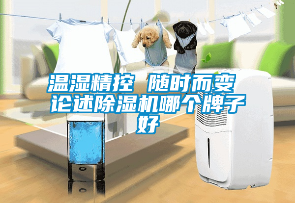 溫濕精控 隨時(shí)而變 論述除濕機哪個(gè)牌子好