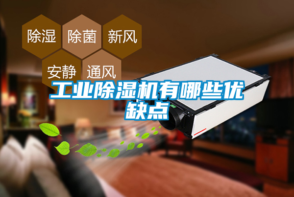 工業(yè)除濕機有哪些優(yōu)缺點(diǎn)