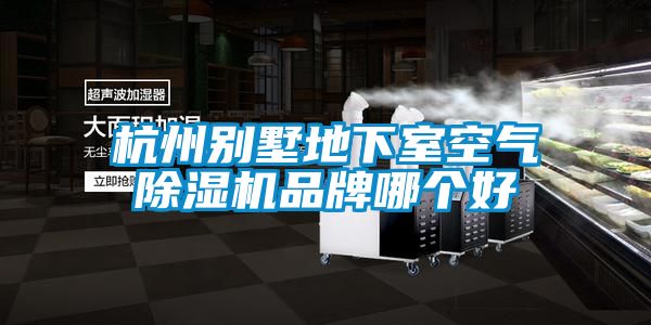 杭州別墅地下室空氣除濕機品牌哪個(gè)好