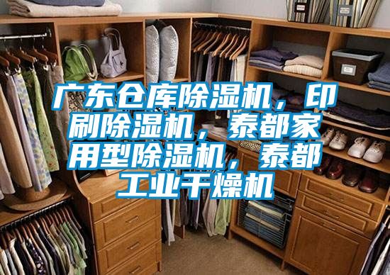 廣東倉庫除濕機，印刷除濕機，泰都家用型除濕機，泰都工業(yè)干燥機