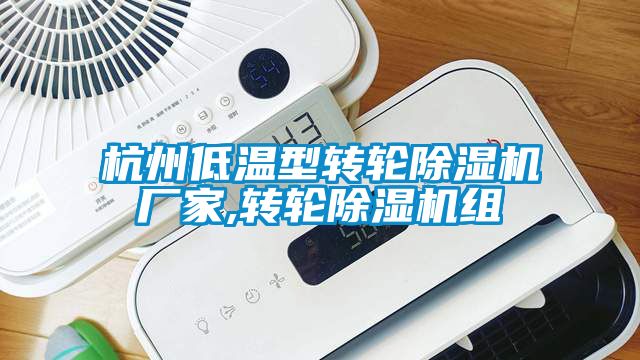 杭州低溫型轉輪除濕機廠(chǎng)家,轉輪除濕機組