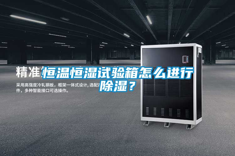 恒溫恒濕試驗箱怎么進(jìn)行除濕？