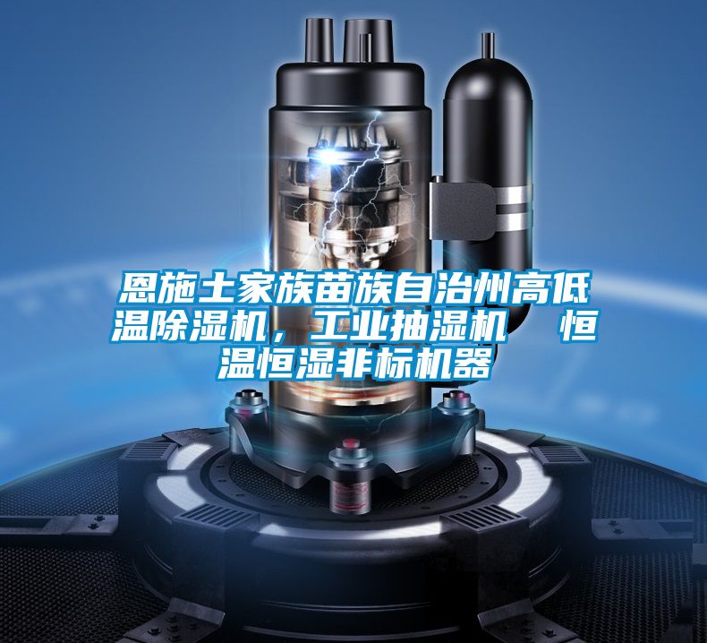 恩施土家族苗族自治州高低溫除濕機，工業(yè)抽濕機  恒溫恒濕非標機器