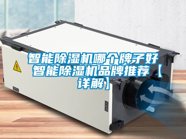 智能除濕機哪個(gè)牌子好 智能除濕機品牌推薦【詳解】
