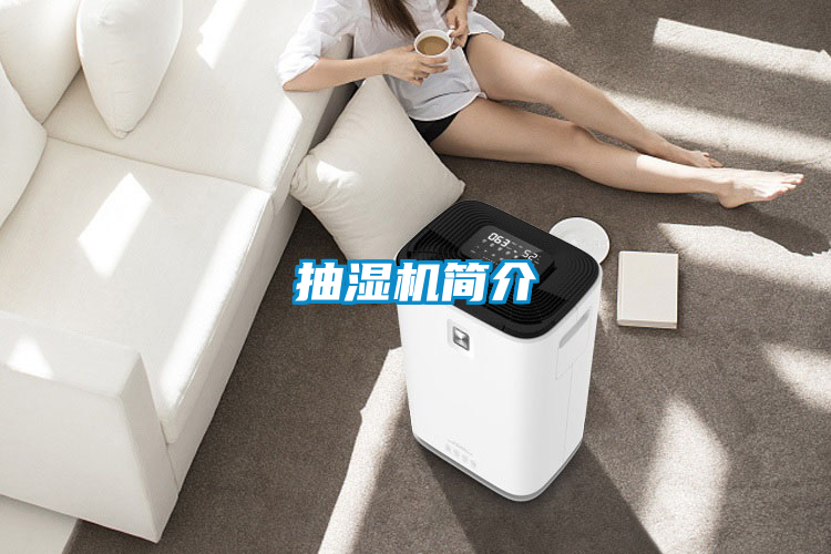 抽濕機簡(jiǎn)介
