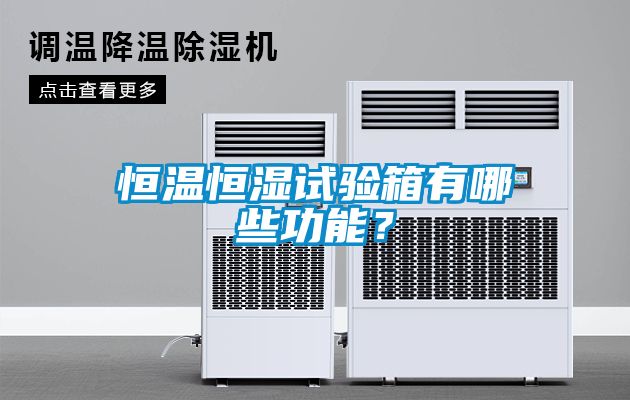 恒溫恒濕試驗箱有哪些功能？