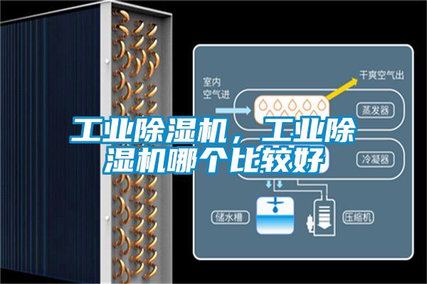 工業(yè)除濕機，工業(yè)除濕機哪個(gè)比較好