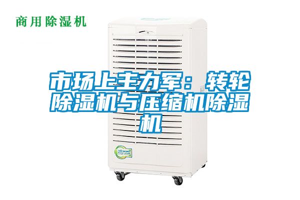 市場(chǎng)上主力軍：轉輪除濕機與壓縮機除濕機