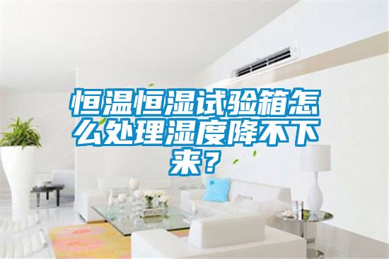 恒溫恒濕試驗箱怎么處理濕度降不下來(lái)？