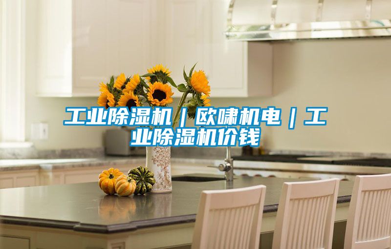 工業(yè)除濕機｜歐嘯機電｜工業(yè)除濕機價(jià)錢(qián)