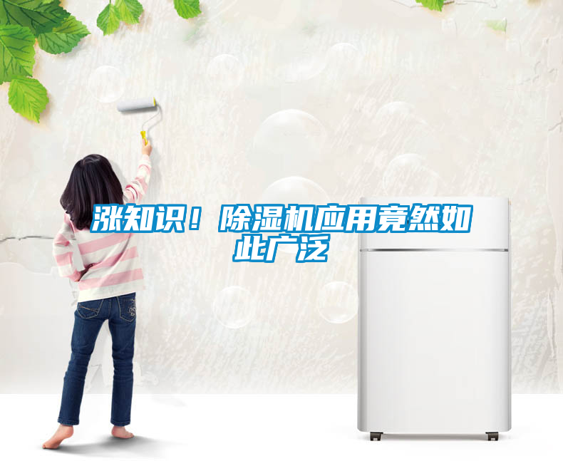 漲知識！除濕機應用竟然如此廣泛