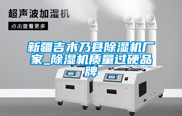 新疆吉木乃縣除濕機廠(chǎng)家_除濕機質(zhì)量過(guò)硬品牌