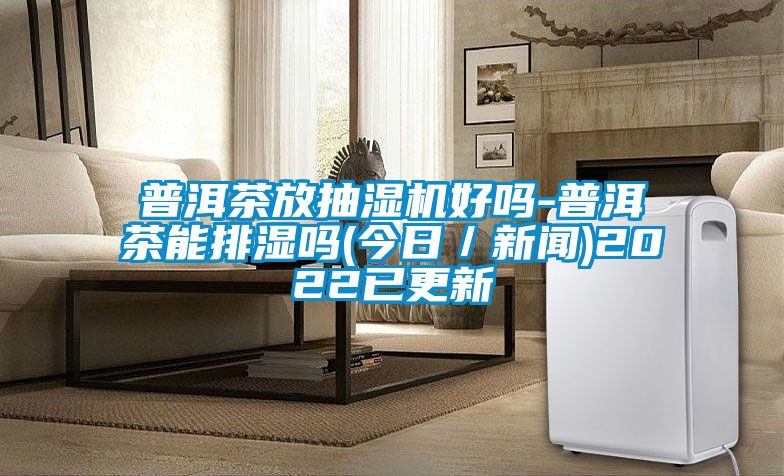 普洱茶放抽濕機好嗎-普洱茶能排濕嗎(今日／新聞)2022已更新