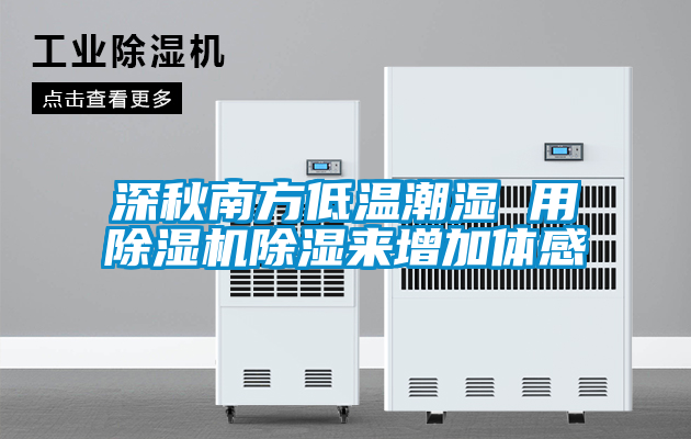 深秋南方低溫潮濕 用除濕機除濕來(lái)增加體感