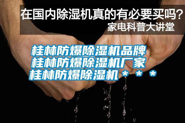 桂林防爆除濕機品牌 桂林防爆除濕機廠(chǎng)家 桂林防爆除濕機＊＊＊