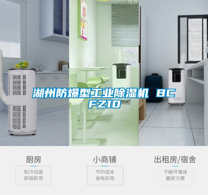 湖州防爆型工業(yè)除濕機 BCFZ10