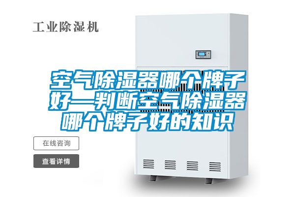 空氣除濕器哪個(gè)牌子好—判斷空氣除濕器哪個(gè)牌子好的知識