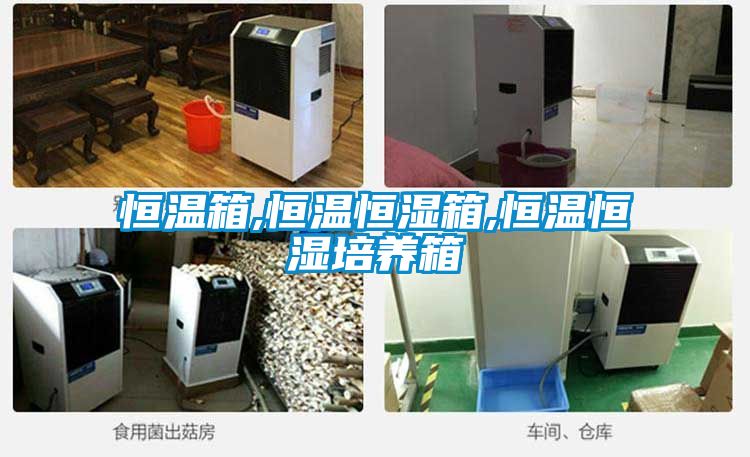 恒溫箱,恒溫恒濕箱,恒溫恒濕培養箱