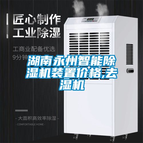 湖南永州智能除濕機裝置價(jià)格,去濕機