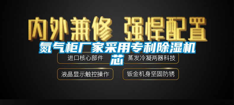氮氣柜廠(chǎng)家采用專(zhuān)利除濕機芯