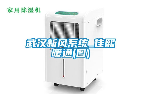 武漢新風(fēng)系統_佳熙暖通(圖)