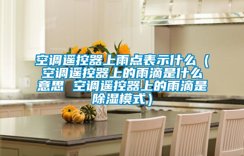 空調遙控器上雨點(diǎn)表示什么（空調遙控器上的雨滴是什么意思 空調遙控器上的雨滴是除濕模式）