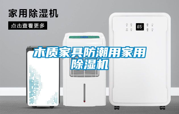 木質(zhì)家具防潮用家用除濕機