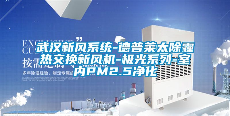 武漢新風(fēng)系統-德普萊太除霾熱交換新風(fēng)機-極光系列-室內PM2.5凈化