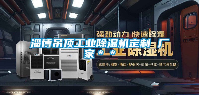 淄博吊頂工業(yè)除濕機定制 廠(chǎng)家＊＊