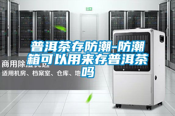 普洱茶存防潮-防潮箱可以用來(lái)存普洱茶嗎
