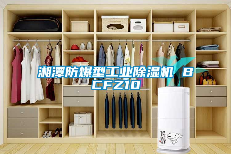 湘潭防爆型工業(yè)除濕機 BCFZ10