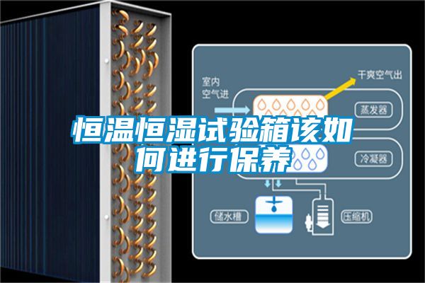 恒溫恒濕試驗箱該如何進(jìn)行保養