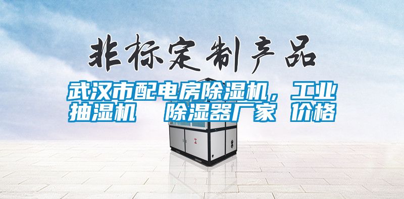 武漢市配電房除濕機，工業(yè)抽濕機  除濕器廠(chǎng)家 價(jià)格