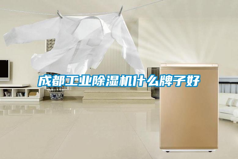 成都工業(yè)除濕機什么牌子好