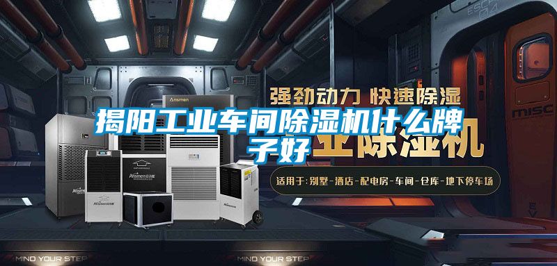 揭陽(yáng)工業(yè)車(chē)間除濕機什么牌子好