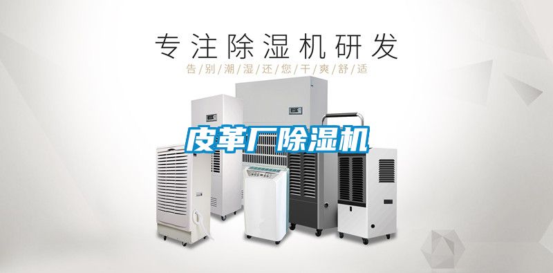 皮革廠(chǎng)除濕機