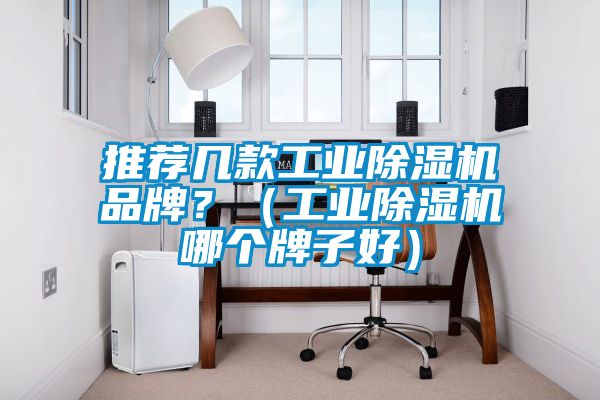 推薦幾款工業(yè)除濕機品牌？（工業(yè)除濕機哪個(gè)牌子好）