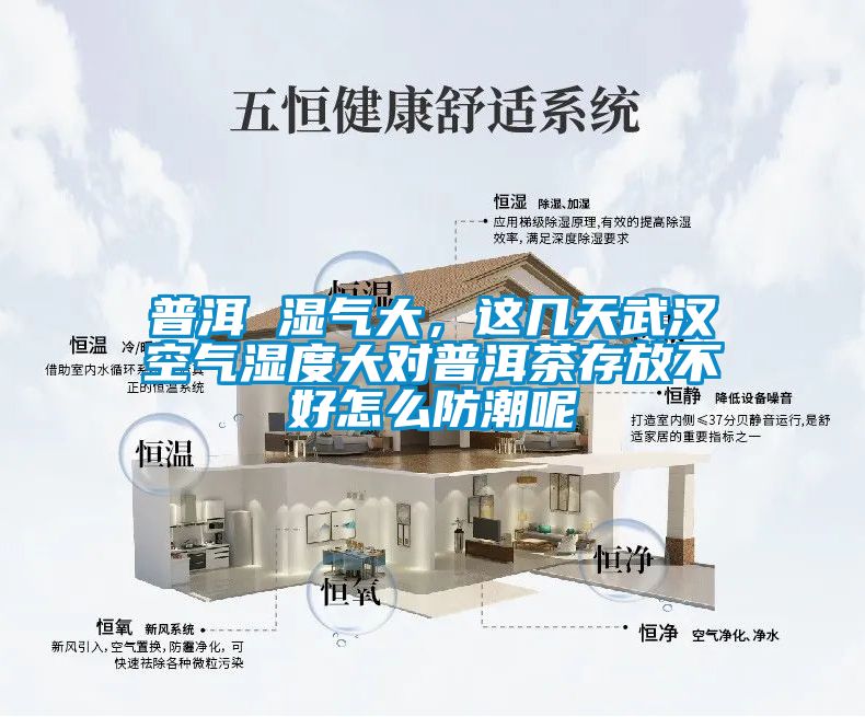 普洱 濕氣大，這幾天武漢空氣濕度大對普洱茶存放不好怎么防潮呢