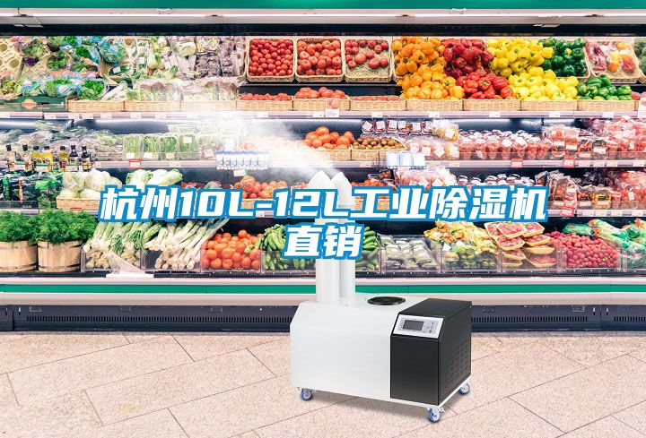 杭州10L-12L工業(yè)除濕機直銷(xiāo)