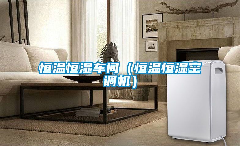 恒溫恒濕車(chē)間（恒溫恒濕空調機）
