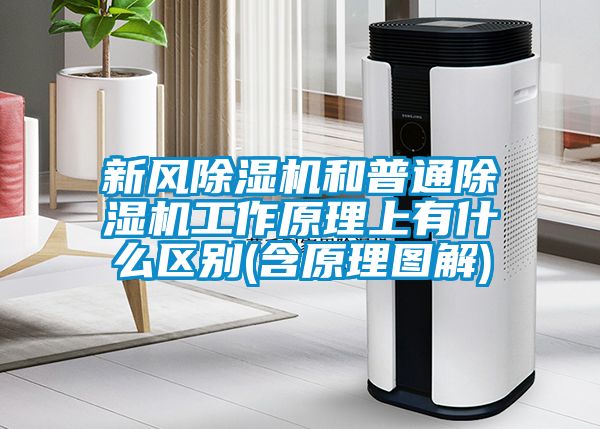 新風(fēng)除濕機和普通除濕機工作原理上有什么區別(含原理圖解)