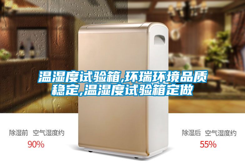 溫濕度試驗箱,環(huán)瑞環(huán)境品質(zhì)穩定,溫濕度試驗箱定做