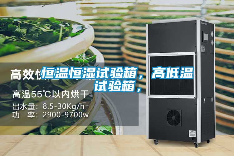 恒溫恒濕試驗箱，高低溫試驗箱，