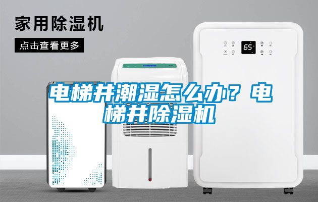 電梯井潮濕怎么辦？電梯井除濕機