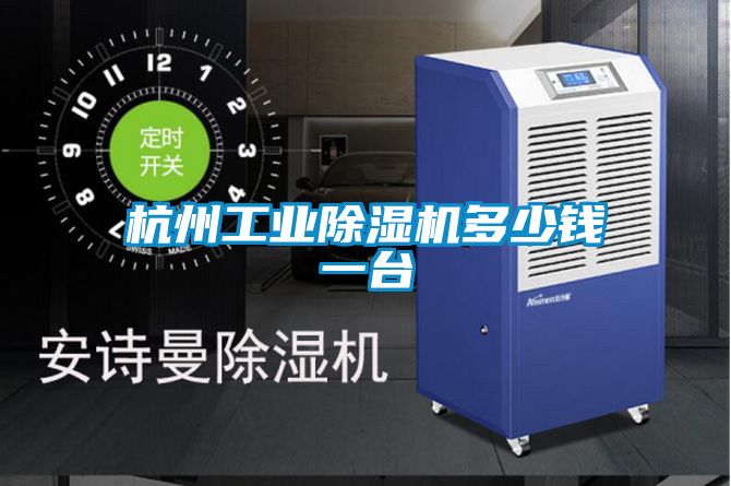杭州工業(yè)除濕機多少錢(qián)一臺